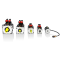 Động cơ servo servo điện áp điện áp thấp